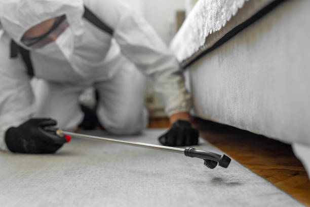 Professional Pest Control technician working in Addison County County, VT